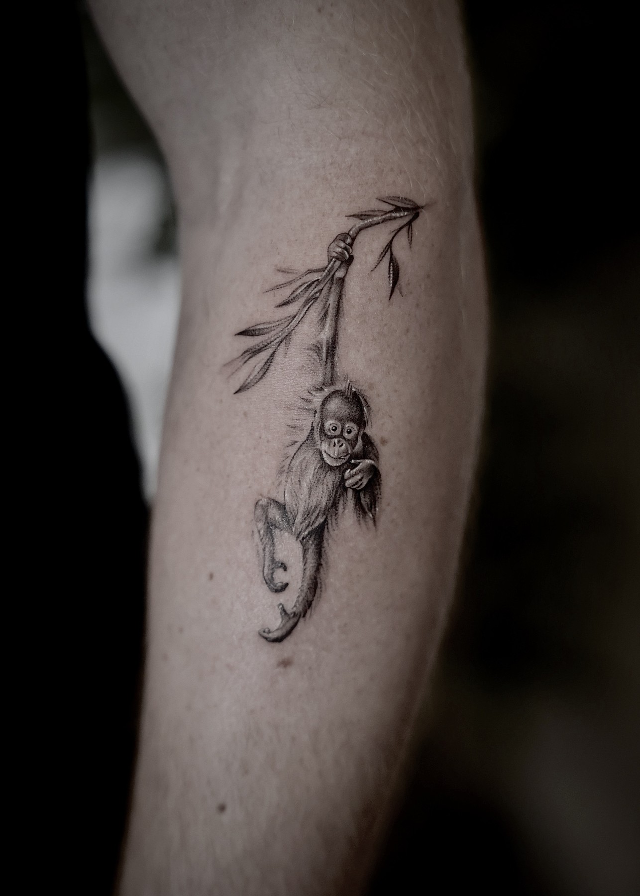 Baby orangutan hanging from branch, fine line arm tattoo by Matt Roe, Kensington London