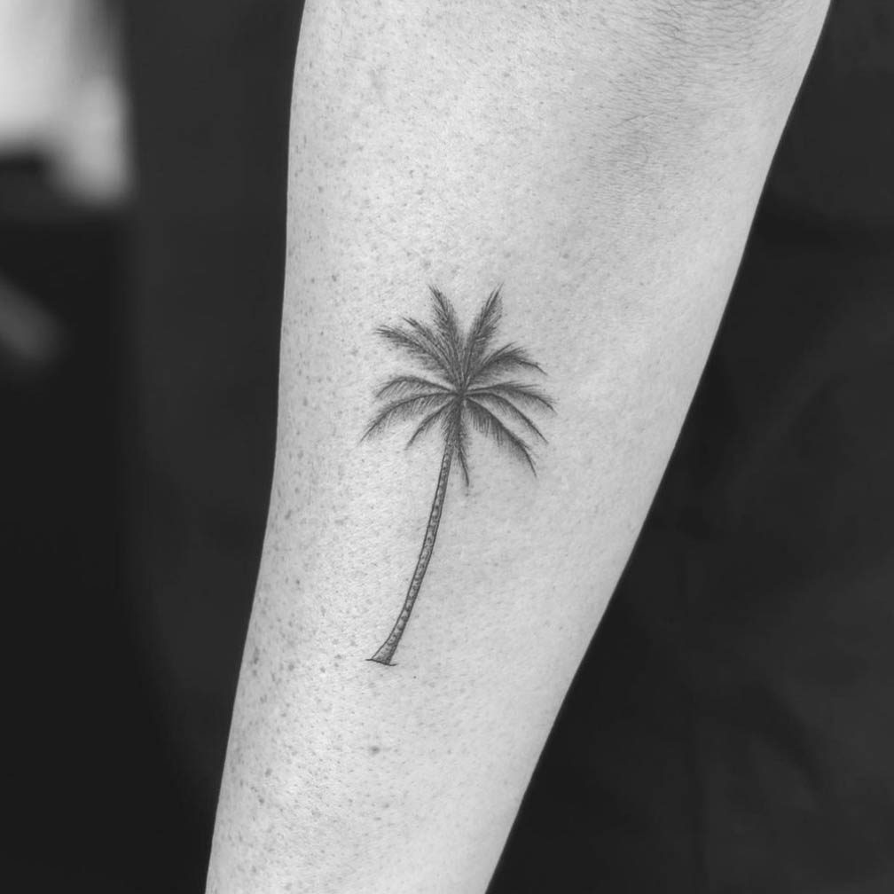 Small black and grey shaded palm tree tattoo on forearm by Matt Roe, Kensington London