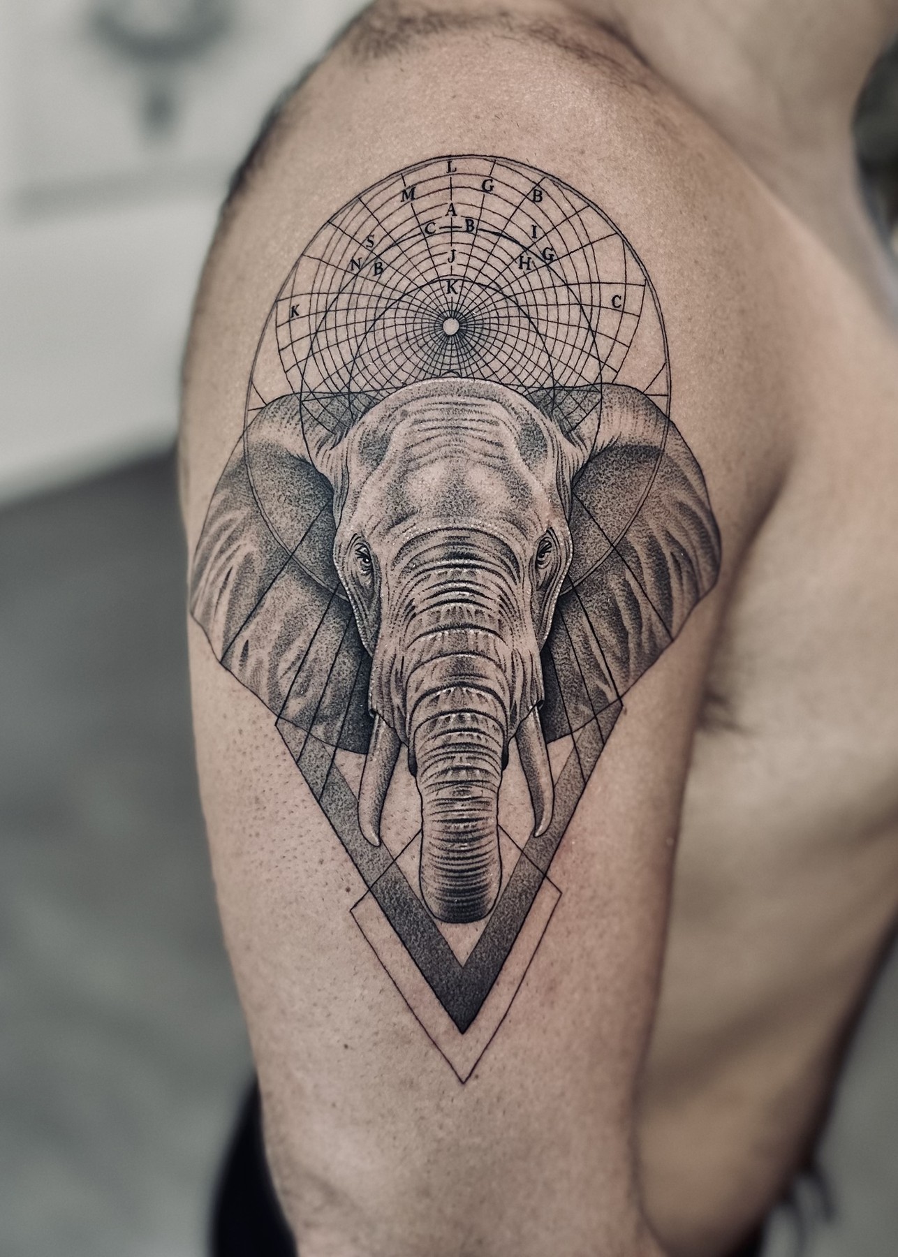 Geometric elephant upper arm tattoo, black and grey by Matt Roe, Kensington London