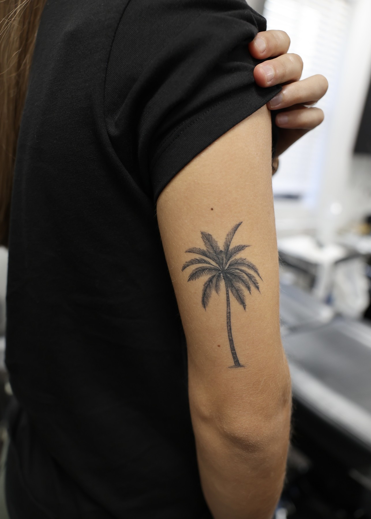Healed fine line palm tree arm tattoo by Matt Roe, Kensington London