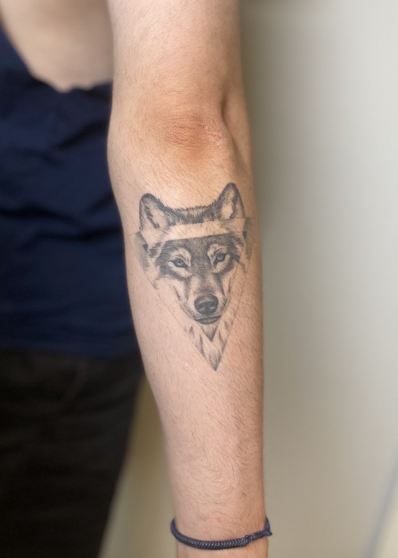 Healed wolf in triangle frame forearm tattoo, black and grey by Matt Roe, Kensington London