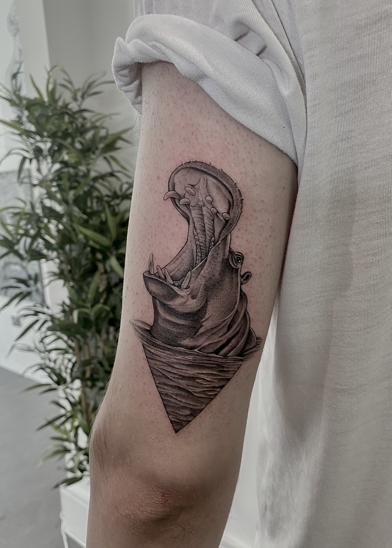 Hippo with open mouth in triangle frame, arm tattoo, black and grey by Matt Roe, Kensington London