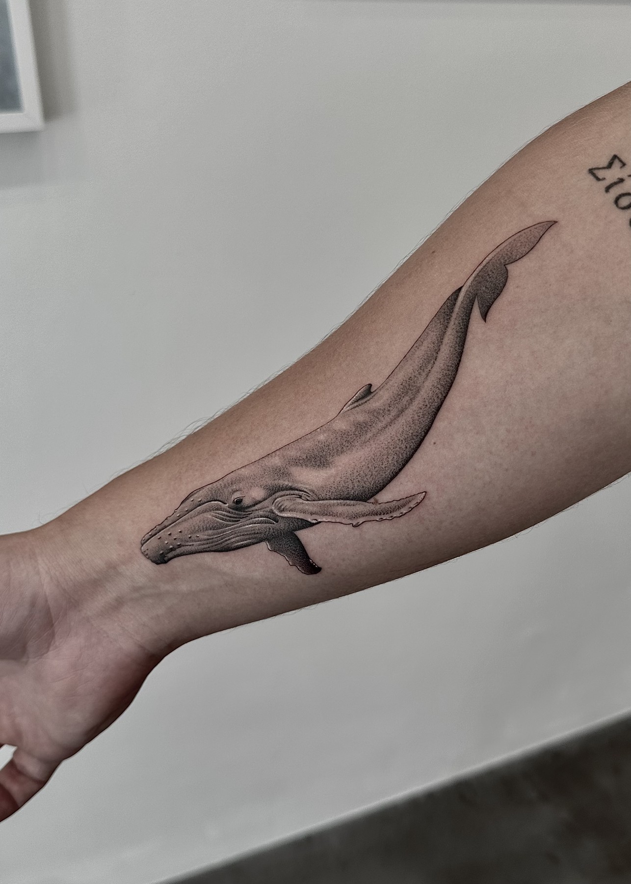 Humpback whale forearm tattoo, black and grey by Matt Roe, Kensington London