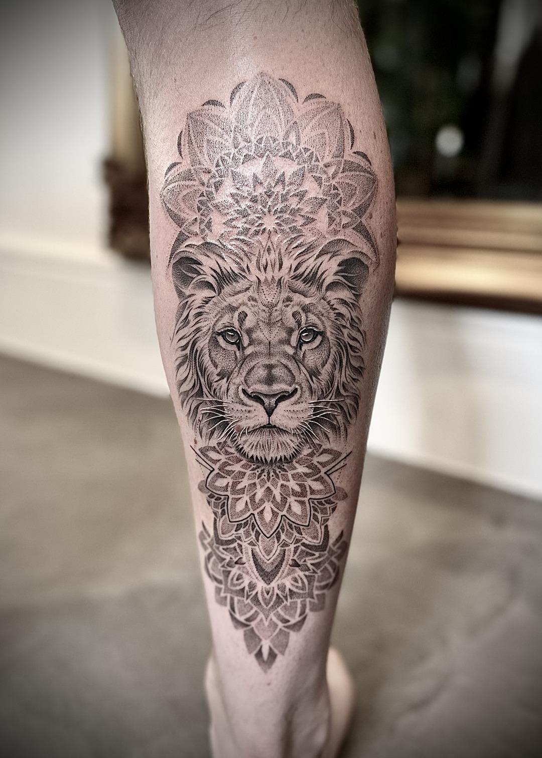 Lioness with mandala dotwork calf tattoo, black and grey by Matt Roe, Kensington London