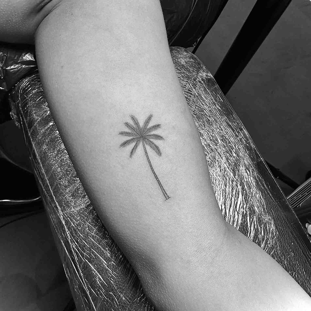Micro fine line palm tree tattoo on forearm by Matt Roe, Kensington London